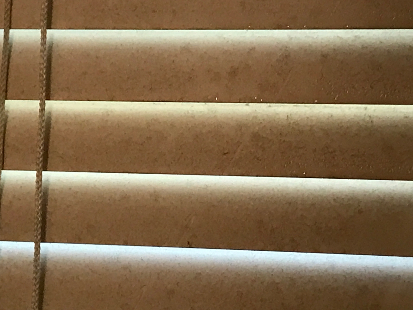 Janitorial Services in Corpus Christi, Texas Above and Beyond